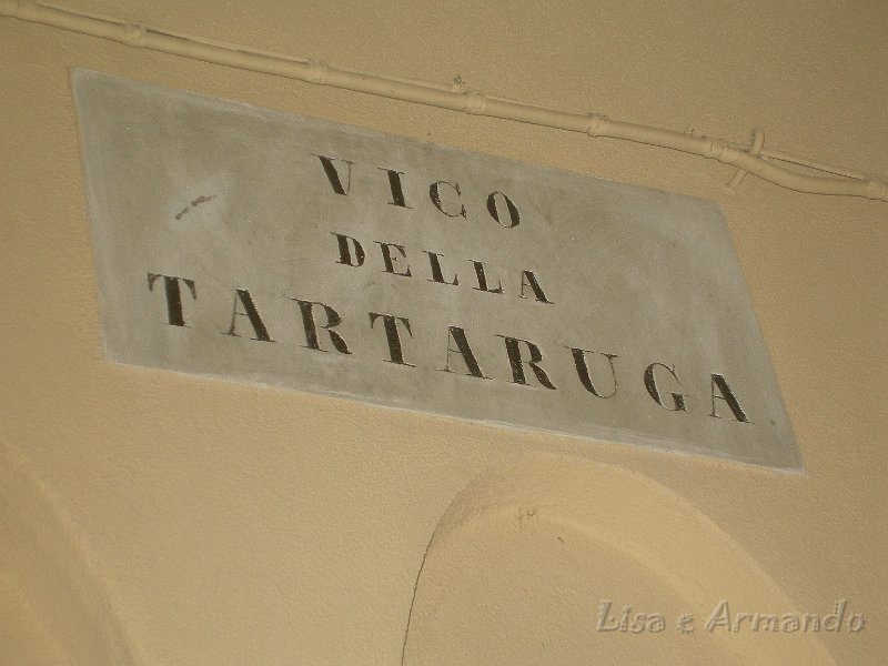 la tartaruga.JPG
